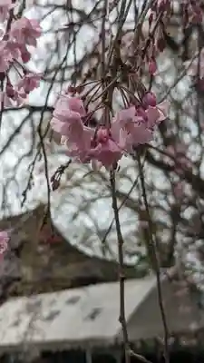松ヶ崎大黒天 妙圓寺（妙円寺）(京都府)