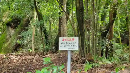 大山祇神社(愛媛県)