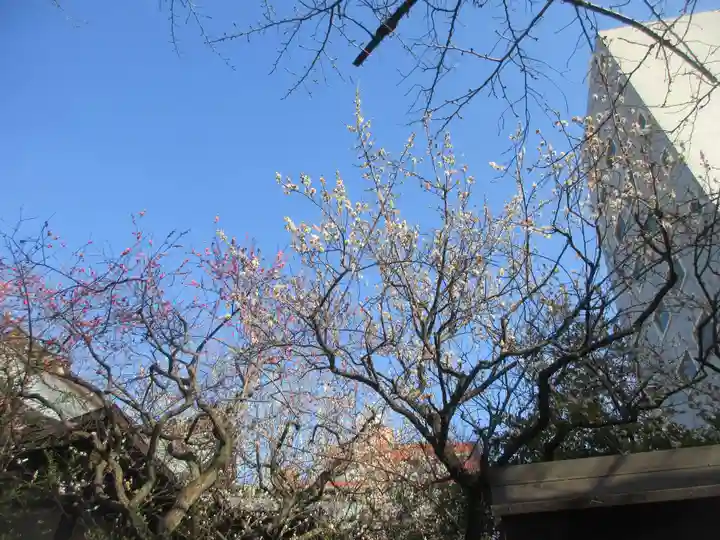 牛天神北野神社(東京都)