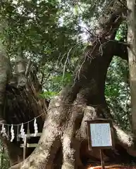 住吉神社(山口県)