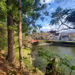 春日神社の自然