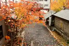 札幌祖霊神社の景色