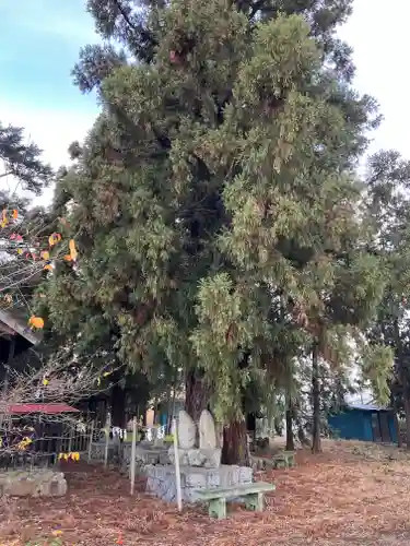 両之木八幡宮の庭園