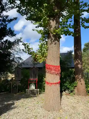 鹿角八坂神社の建物その他