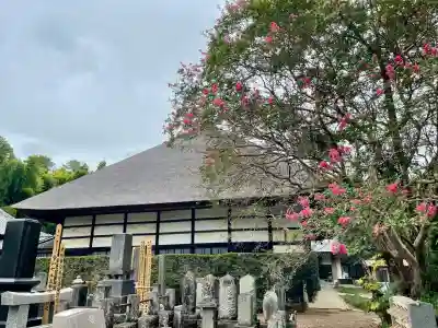 茂林寺の本殿・本堂