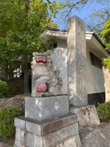 師岡熊野神社の狛犬
