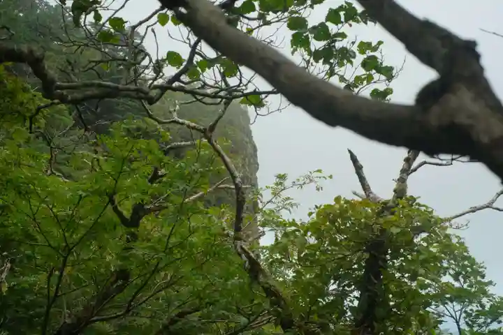 大峯山寺の自然