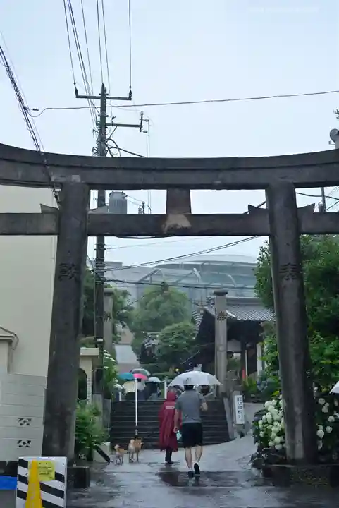 白山神社の鳥居