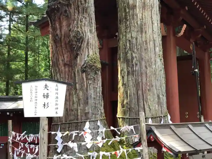 日光二荒山神社の自然
