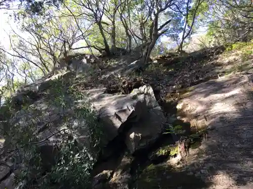 佐志能神社の自然