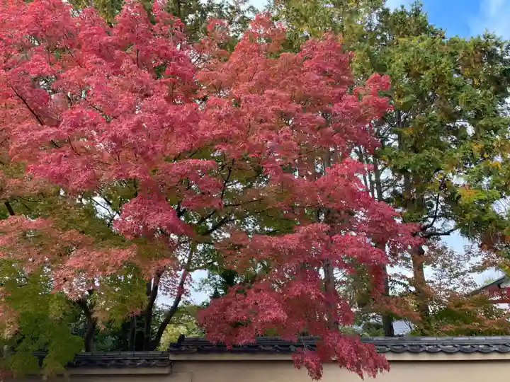 龍眠庵(竜眠庵)(京都府)