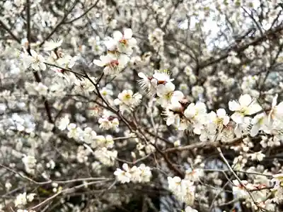 禅林寺(長崎県)