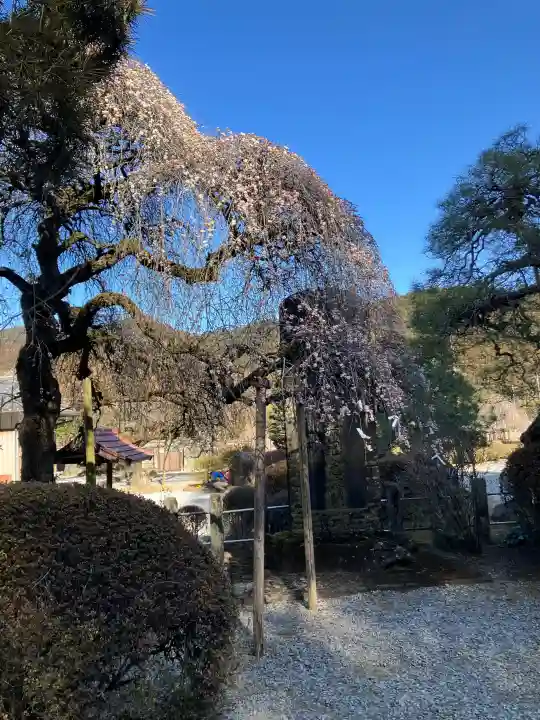 御嶽山神社の{uncategorized: "未分類", other: "その他", undefined: "問題あり", building: "その他建物", grave: "お墓", sacred_gate: "鳥居", guardian: "狛犬", statue: "像", buddha: "仏像", history: "歴史", nature: "自然", garden: "庭園", animal: "動物", pagoda: "塔", temizu: "手水舎", mountain_gate: "山門・神門", sanctuary: "本殿・本堂", subordinate: "末社・摂社", art: "芸術", scenery: "景色", jizo: "地蔵", ema: "絵馬", goshuin: "御朱印", omikuji: "おみくじ", items: "授与品その他", amulet: "お守り", goshuincho: "御朱印帳", eats: "食事", festival: "お祭り", votive_dance: "神楽", shichigosan: "七五三参", wedding: "結婚式", experience: "体験その他", initially: "初詣", around: "周辺", anti_infection: "感染症対策"}