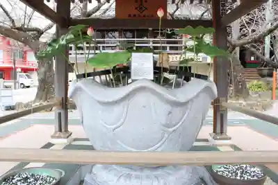 金剛宝寺（紀三井寺）(和歌山県)