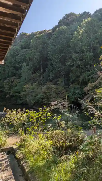 浄瑠璃寺(京都府)