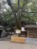 多賀神社(尾張多賀神社)(愛知県)