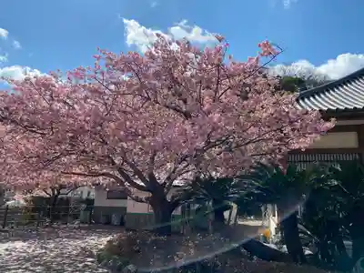 誕生寺(千葉県)