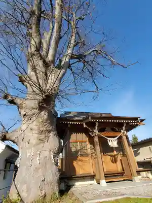 二階堂神社の本殿・本堂