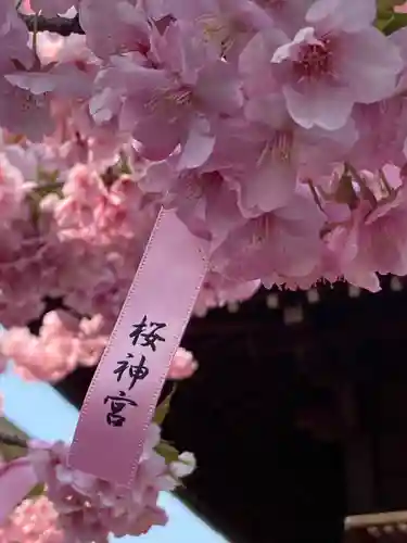 桜神宮の自然