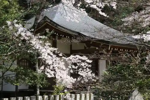 新大佛寺の自然
