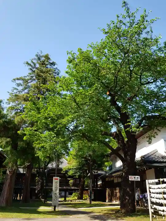 妙法寺のその他建物