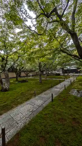 黄梅院(京都府)