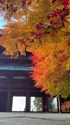 高野山金剛峯寺奥の院(和歌山県)