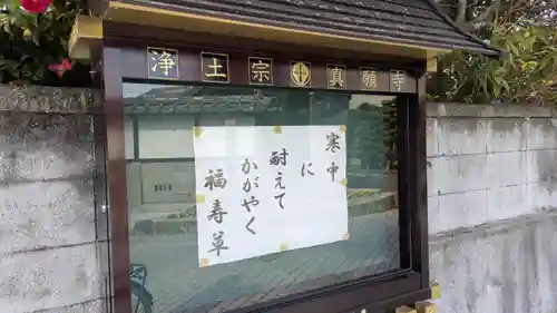 真願寺(滋賀県)