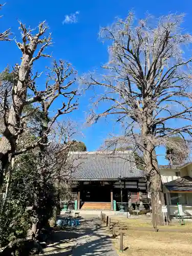 常圓寺(東京都)