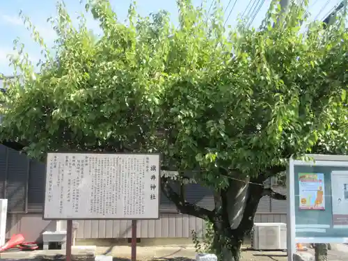 旗井神社(埼玉県)