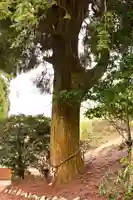 祖母嶽神社(宮崎県)