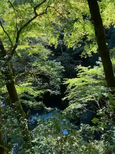 元伊勢天岩戸神社(京都府)