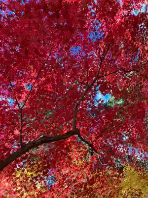 洞光寺(兵庫県)