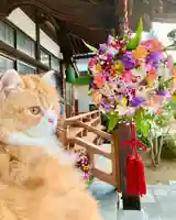 西教寺(下松駅徒歩5分)(山口県)