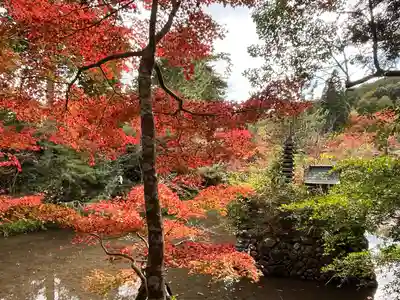 鍬山神社(京都府)