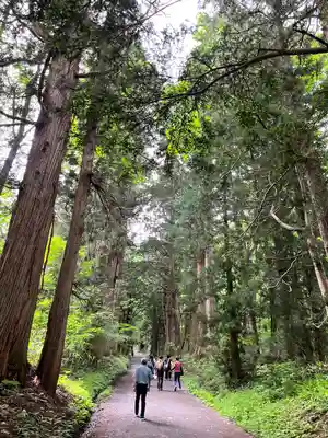 戸隠神社奥社(長野県)
