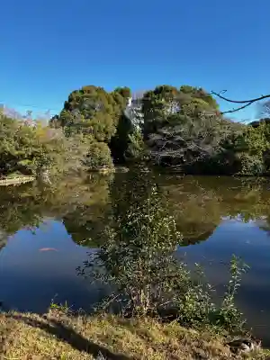 菊田神社の{uncategorized: "未分類", other: "その他", undefined: "問題あり", building: "その他建物", grave: "お墓", sacred_gate: "鳥居", guardian: "狛犬", statue: "像", buddha: "仏像", history: "歴史", nature: "自然", garden: "庭園", animal: "動物", pagoda: "塔", temizu: "手水舎", mountain_gate: "山門・神門", sanctuary: "本殿・本堂", subordinate: "末社・摂社", art: "芸術", scenery: "景色", jizo: "地蔵", ema: "絵馬", goshuin: "御朱印", omikuji: "おみくじ", items: "授与品その他", amulet: "お守り", goshuincho: "御朱印帳", eats: "食事", festival: "お祭り", votive_dance: "神楽", shichigosan: "七五三参", wedding: "結婚式", experience: "体験その他", initially: "初詣", around: "周辺", anti_infection: "感染症対策"}