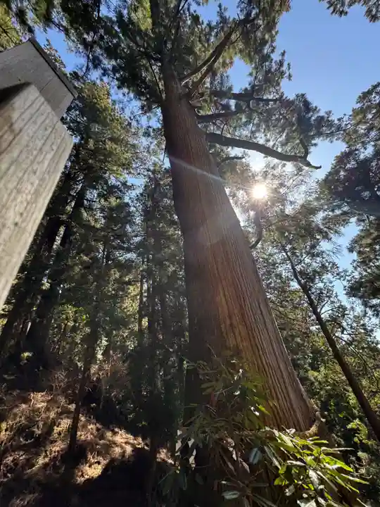 玉置神社の御朱印