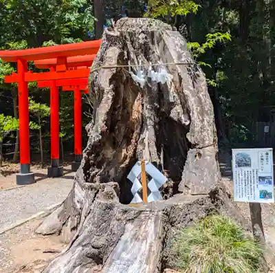 常磐神社(茨城県)
