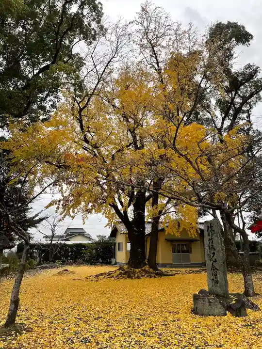 美奈宜神社の自然