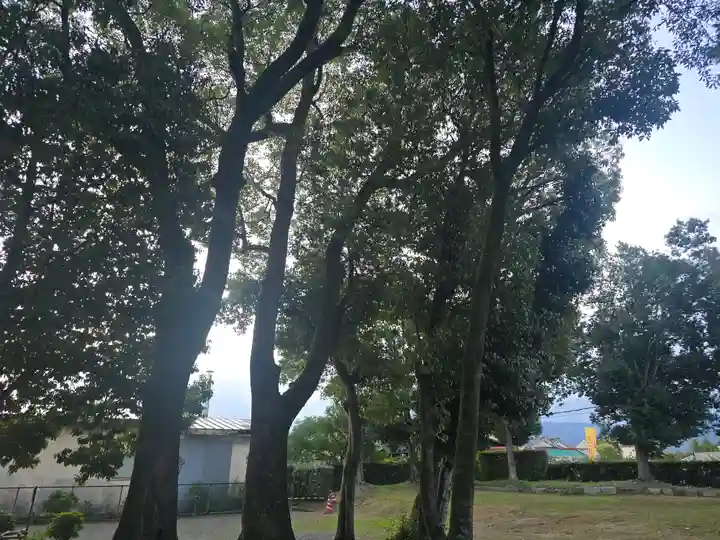 綱越神社(大神神社摂社)(奈良県)
