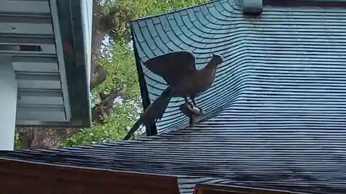 雉子神社(東京都)