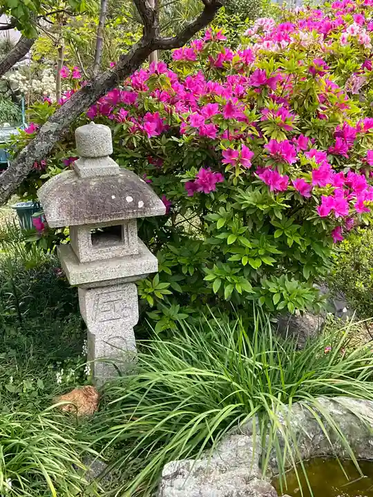 遍照寺のその他建物