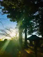 西蓮寺(茨城県)