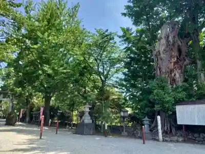 諏訪神社(鹿児島県)
