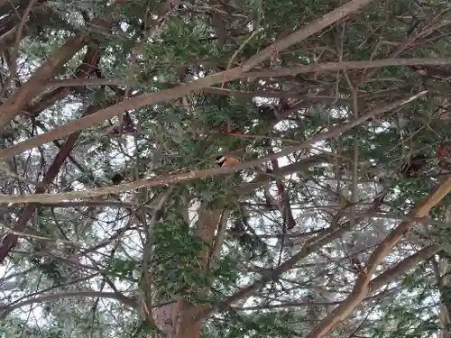 上川神社のその他建物