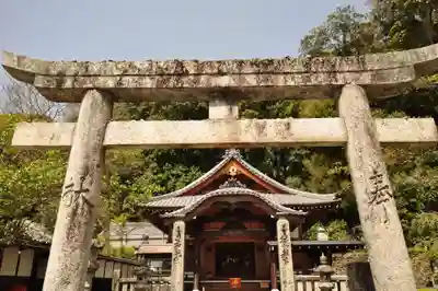 繁多寺(愛媛県)