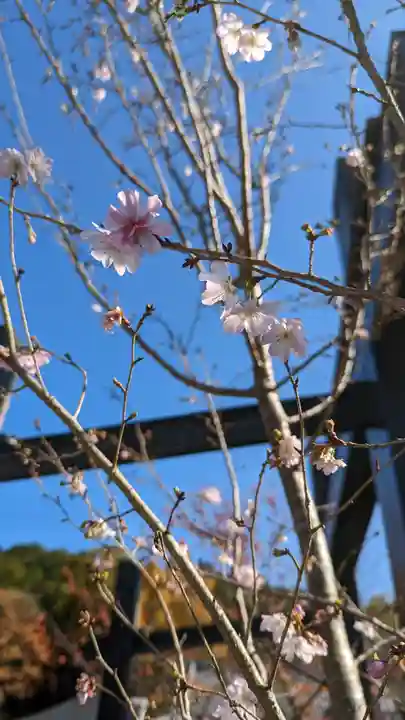 本圀寺(京都府)