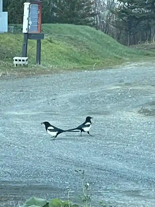 鵡川神社(北海道)
