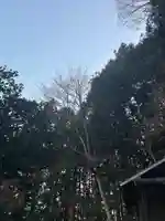 大宮温泉神社(栃木県)